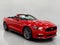 2015 Ford Mustang 2dr Conv GT Premium