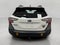 2025 Subaru Outback Wilderness AWD