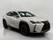 2020 Lexus UX UX 250h AWD
