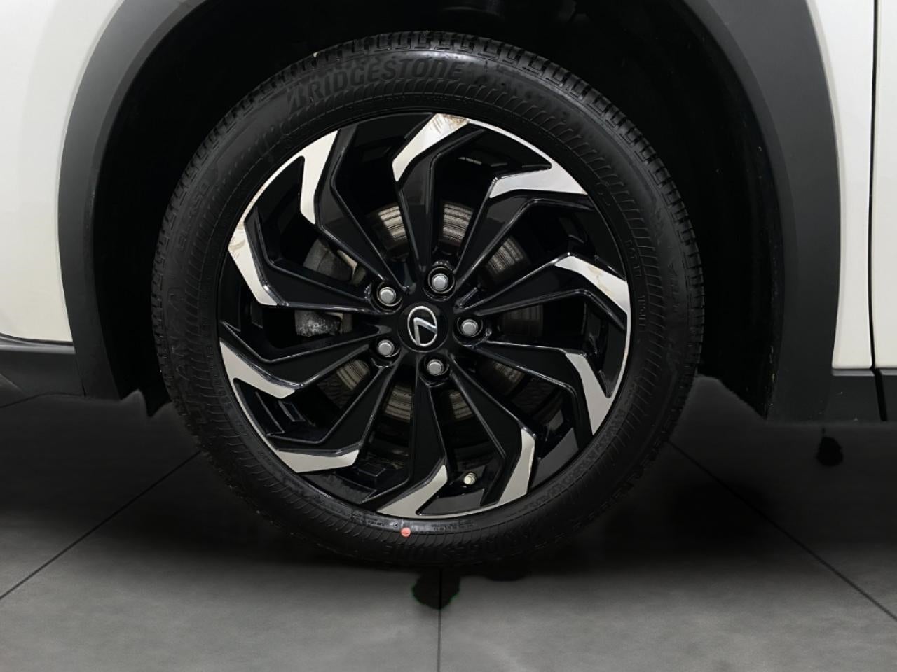 2020 Lexus UX UX 250h AWD