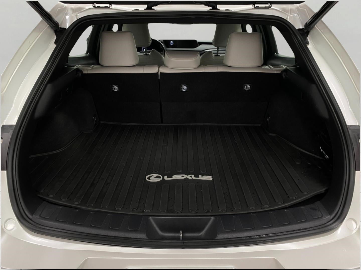 2020 Lexus UX UX 250h AWD