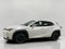 2020 Lexus UX UX 250h AWD
