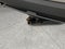 2016 Lexus NX 200t AWD 4dr F Sport